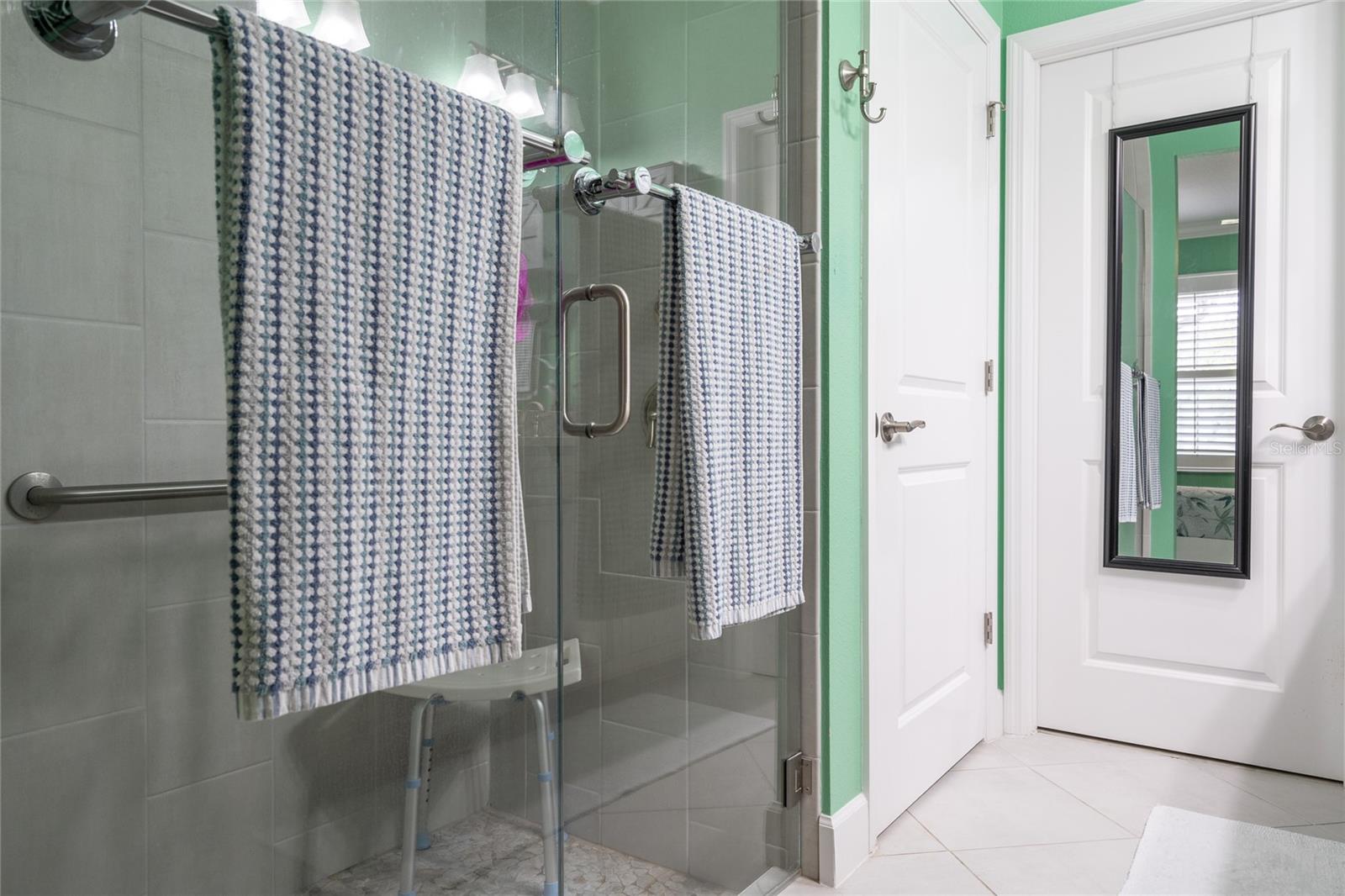 Walk in shower, and toilet area.