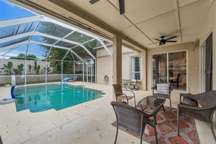Beautiful pool