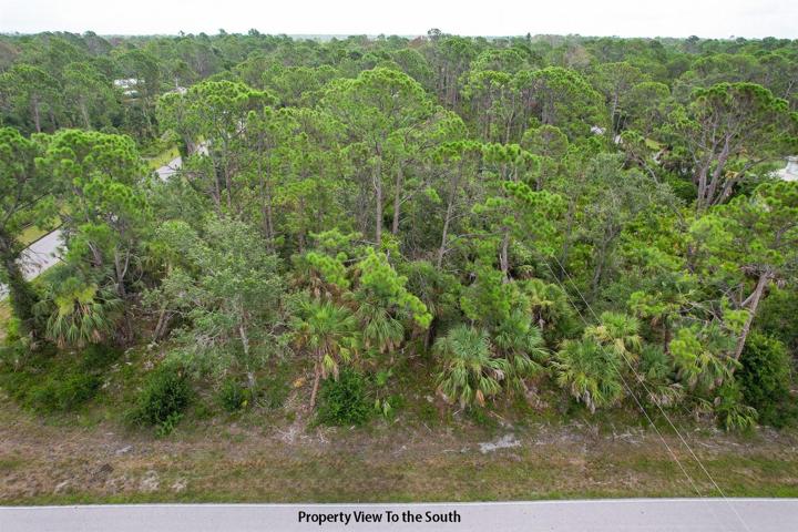 property View in the South