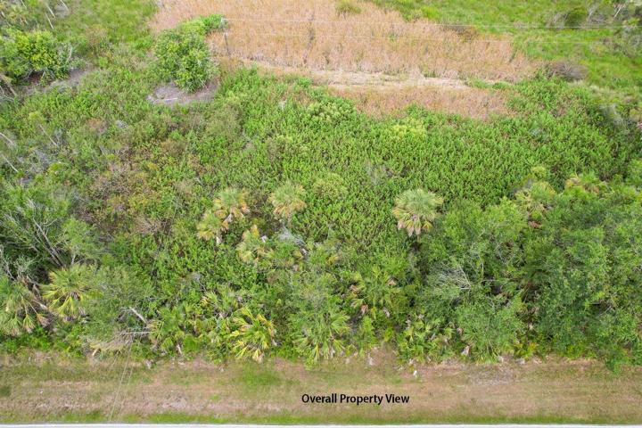 Overall Property View