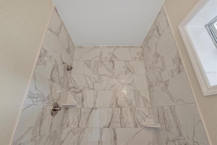 Master Bathroom Shower