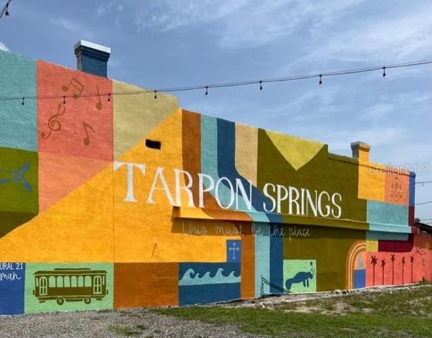 Town of Tarpon Springs
