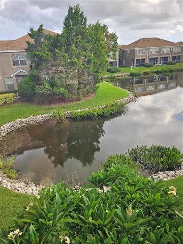 VIEW FROM MASTER BEDROOM