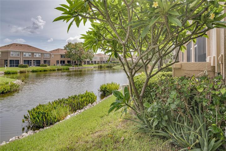 VIEW OF POND FROM PATIO