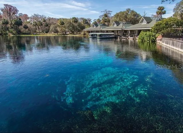 Silver Springs