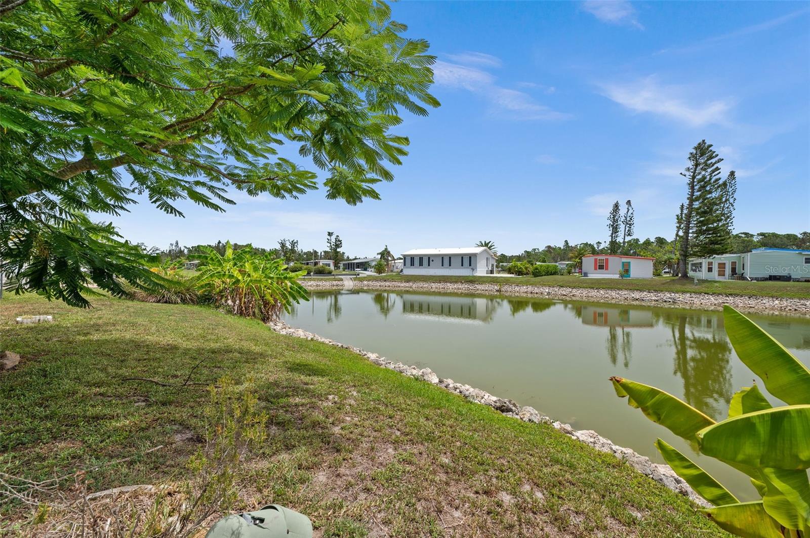 Rear View of pond