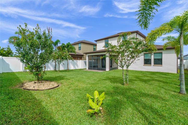 Excellent Backyard Space bordered with Queen Palms.