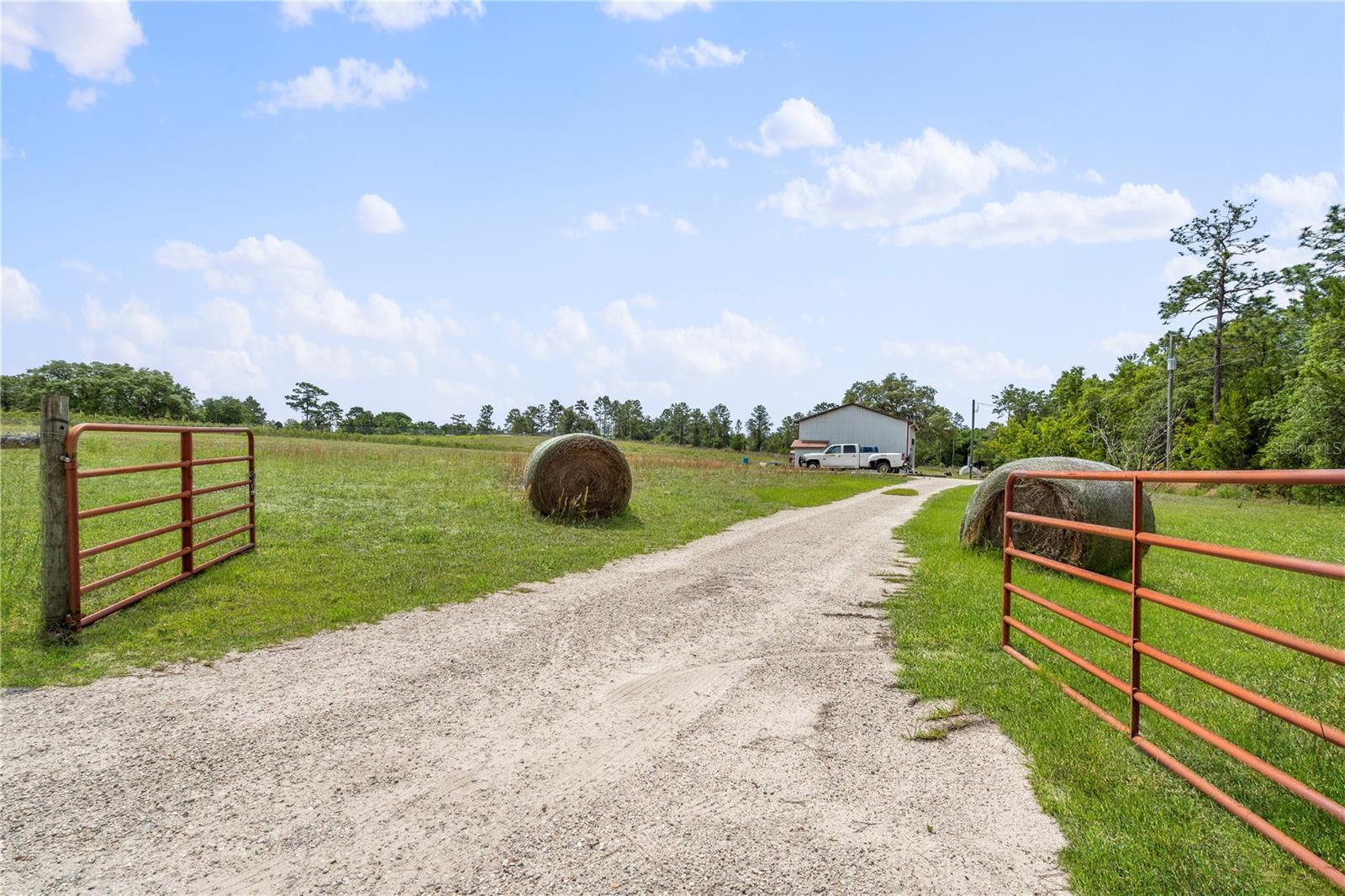 Pomona Park, Florida 32181, 0 , 0 ,0,Commercial Sale,For Sale,STRAWBERRY,0,FC293309