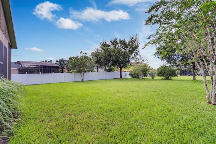 Large backyard