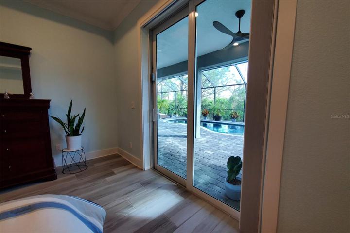 View from the bed - private oasis.