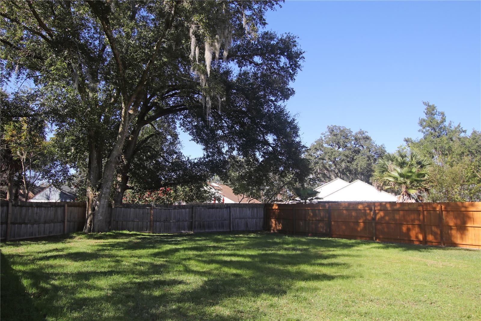Back Yard