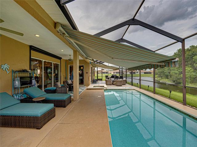 Pool & patio