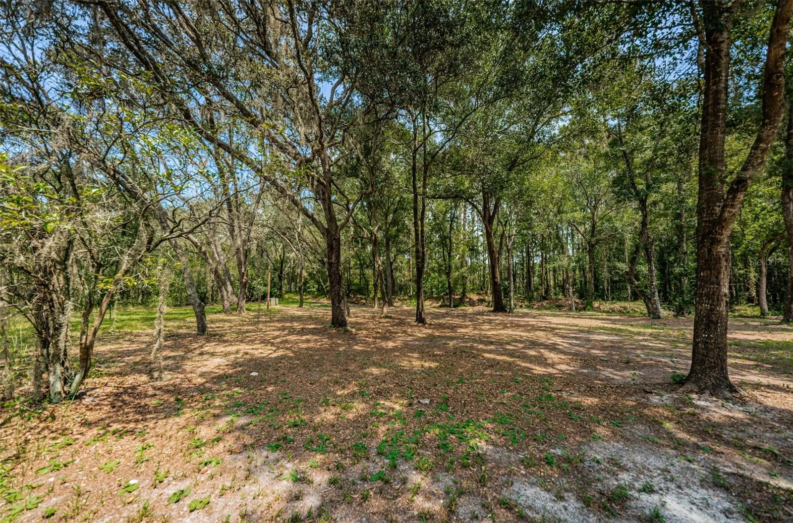 Odessa, Florida 33556, 0 , 0 ,0,Land,For Sale,COQUI COURT,0,T3460745