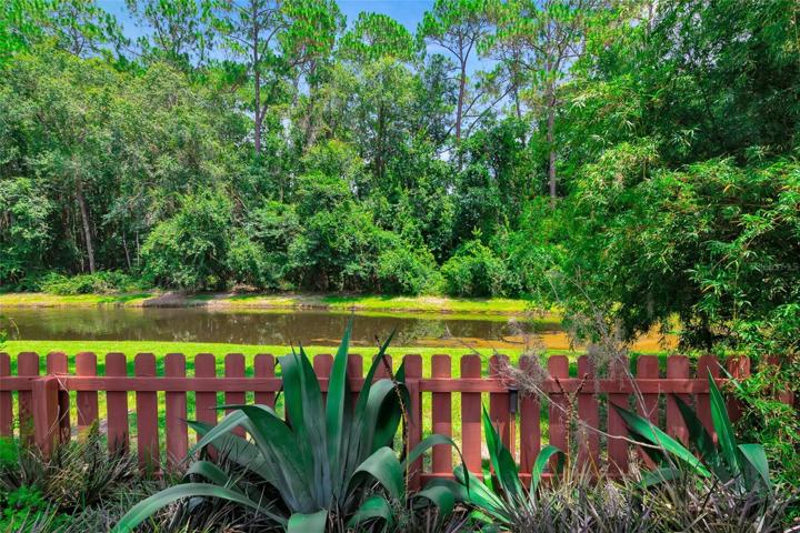 Pond View