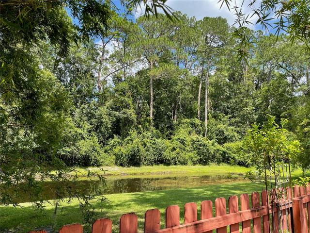 Pond View