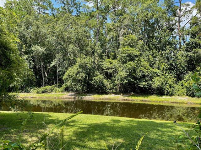 Pond