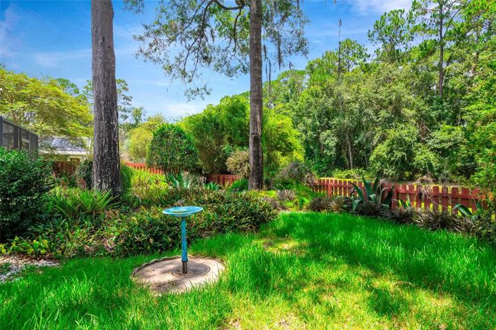 Back Yard Landscape