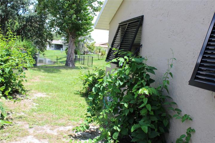 side yard