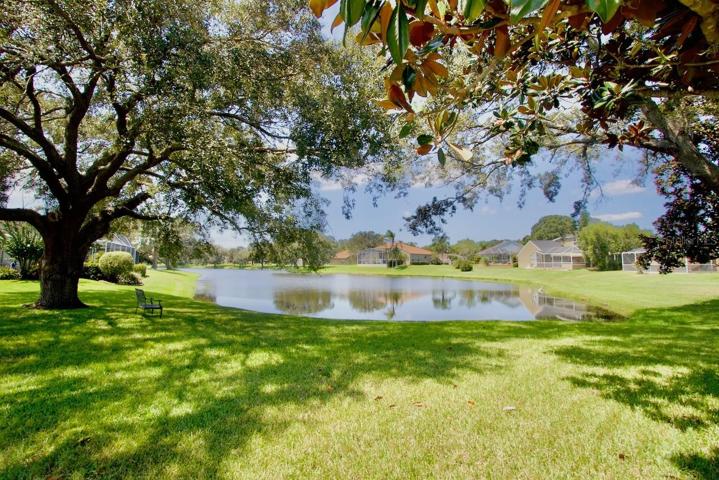 Tranquil Water View