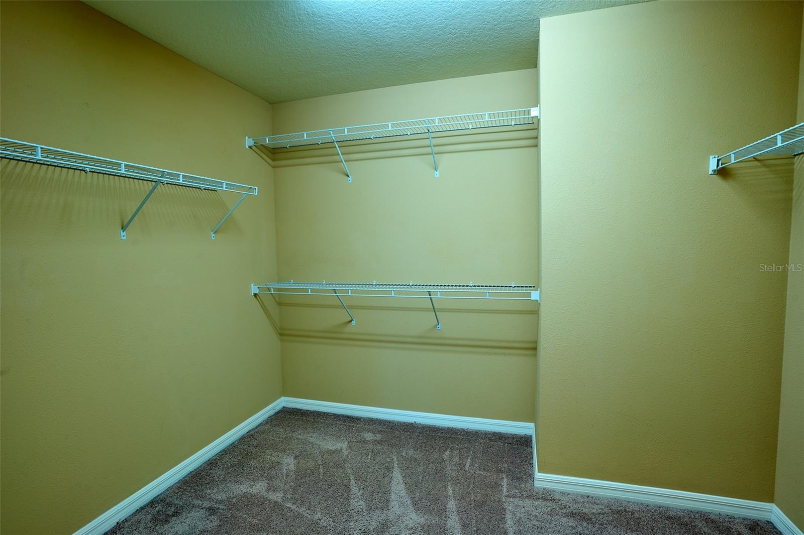 Master walk in closet