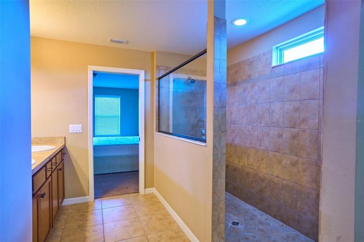 Master bathroom