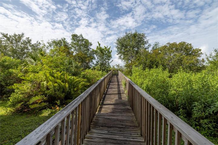 Boardwalk Through the Pam Callahan Nature Preserve