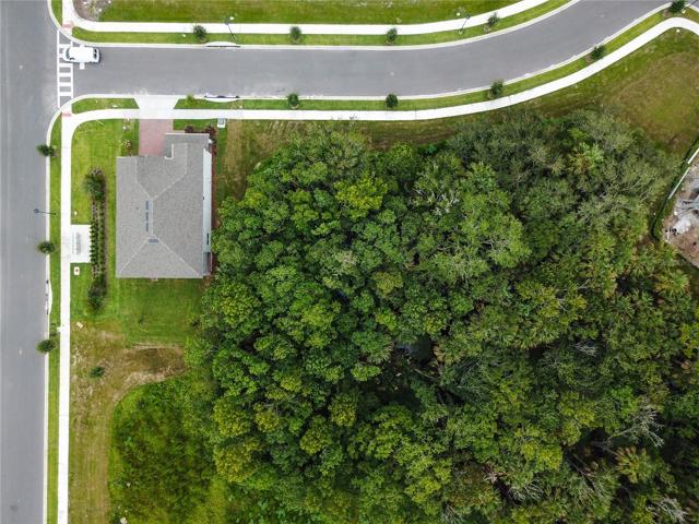 Rare corner lot with no neighbors except trees!