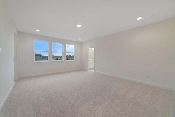 PRIMARY SUITE.