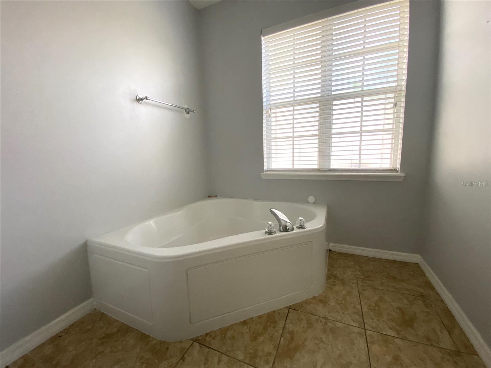 Soaking tub in master