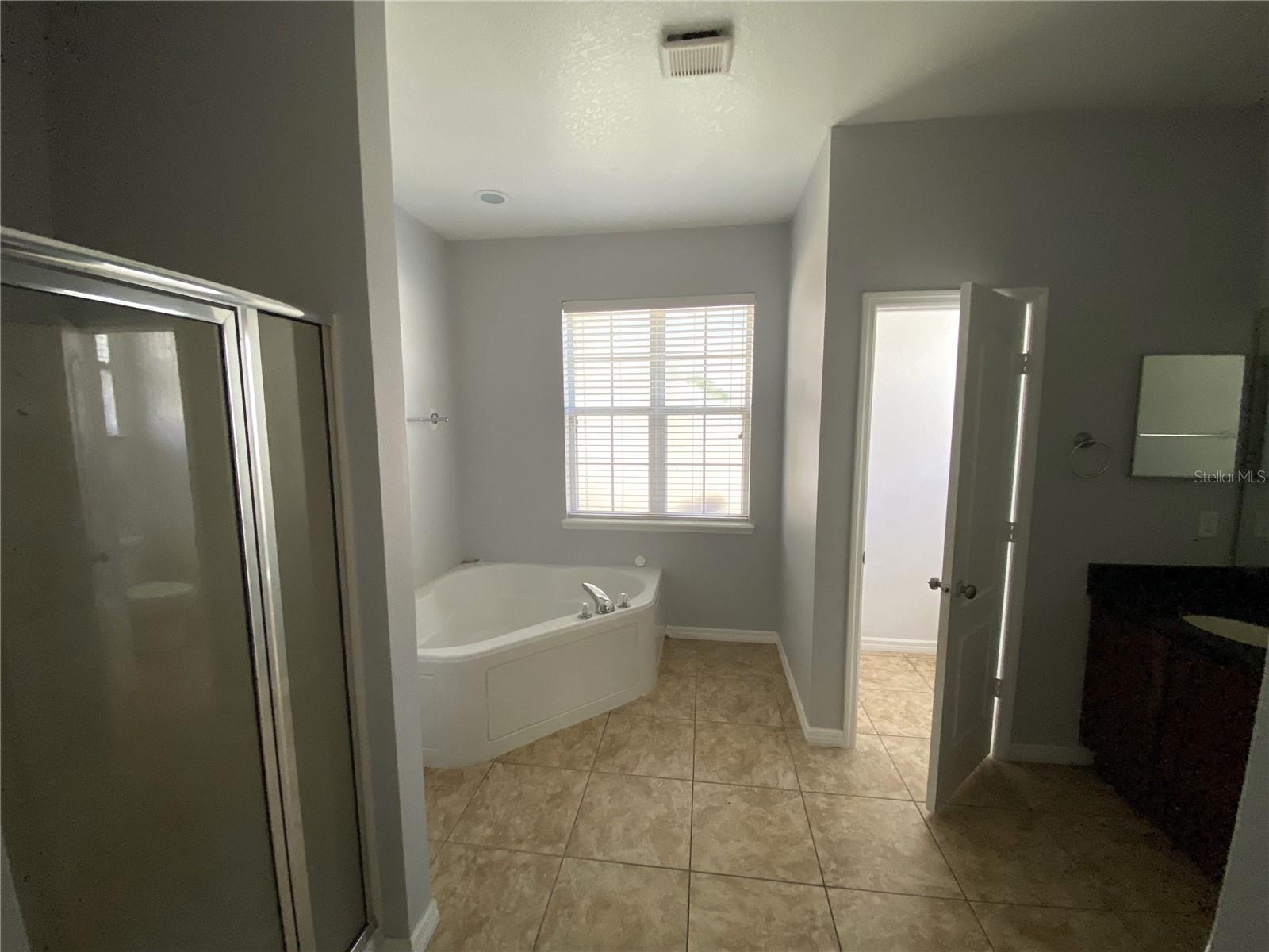 Master bath with shower stall, soaking tub, toilet closet and double vanity with granite tops