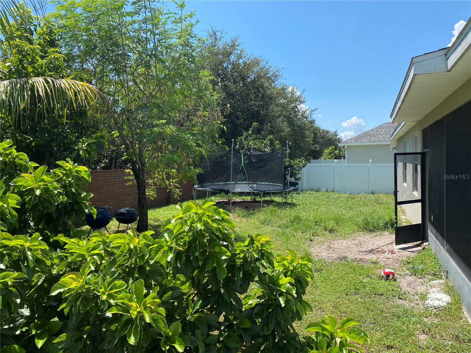fenced back yard