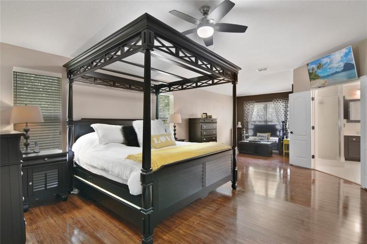 PRIMARY SUITE.