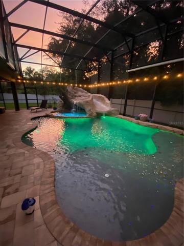 Enjoy Summer nights poolside!