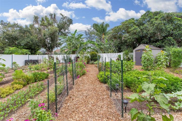 MORE GARDENS