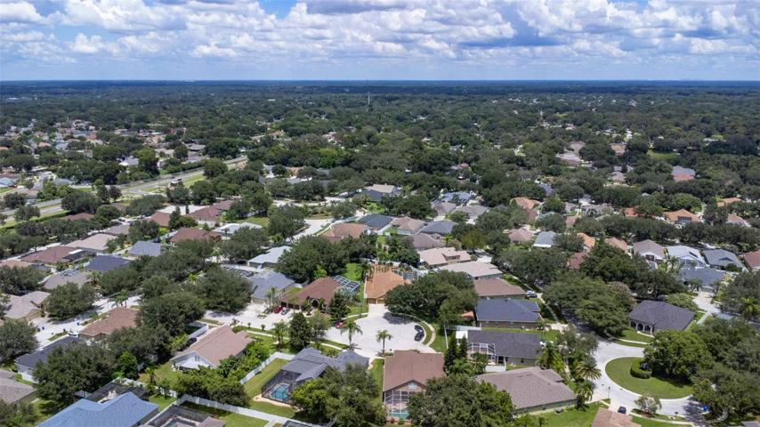 LUMSDEN POINTE NEIGHBORHOOD VIEW