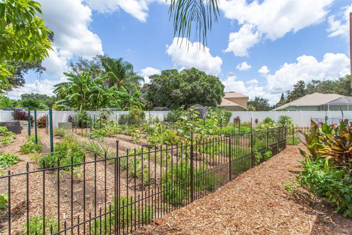 FABULOUS BACKYARD GARDEN