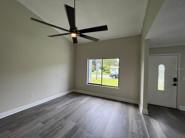 Bonus living room/office