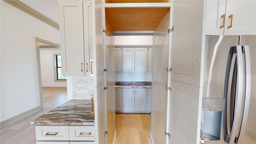 Concealed pantry