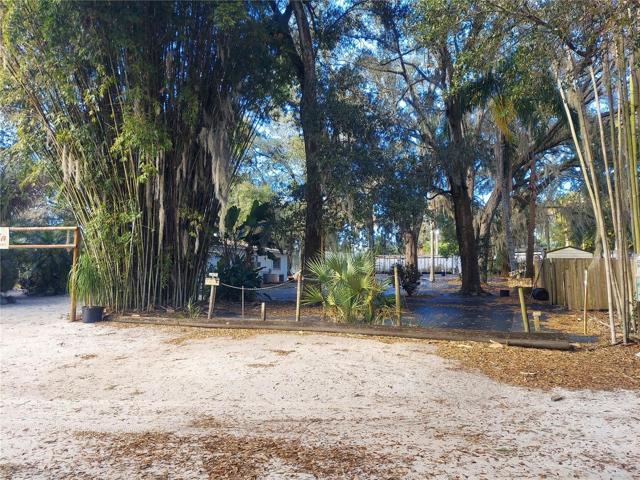 View of Property