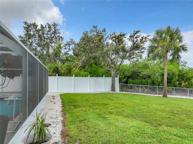 back yard