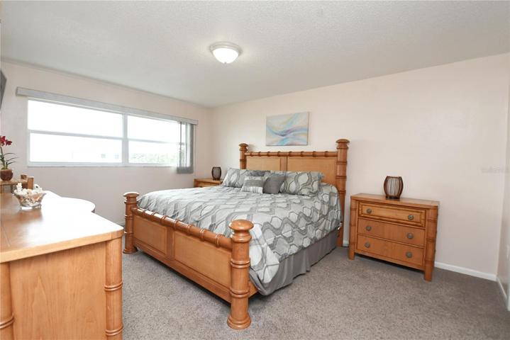 The master bedroom comes with carpet and a spacious walk-in closet.