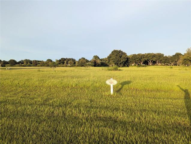 LOT 24