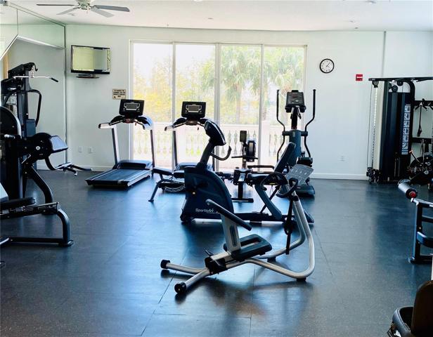 Vizcaya Gym