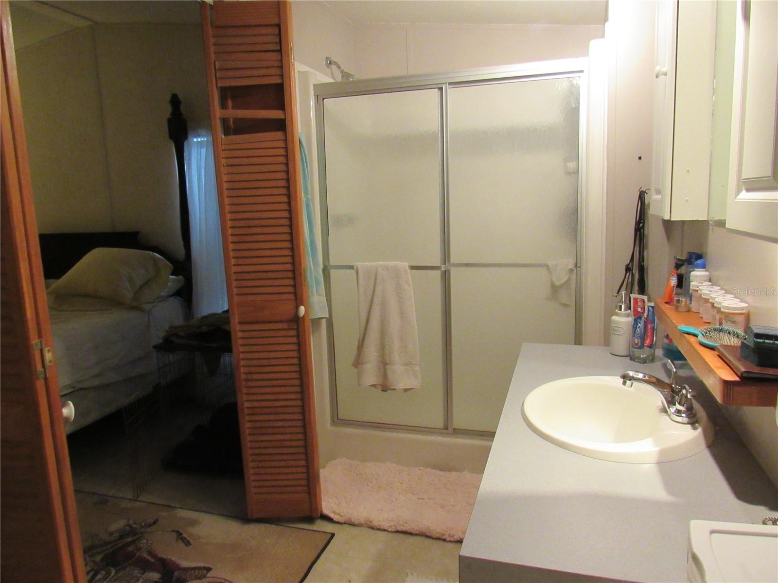 Master bathroom