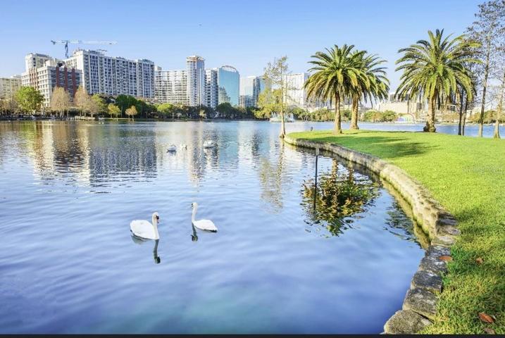 Orlando Lake Eola