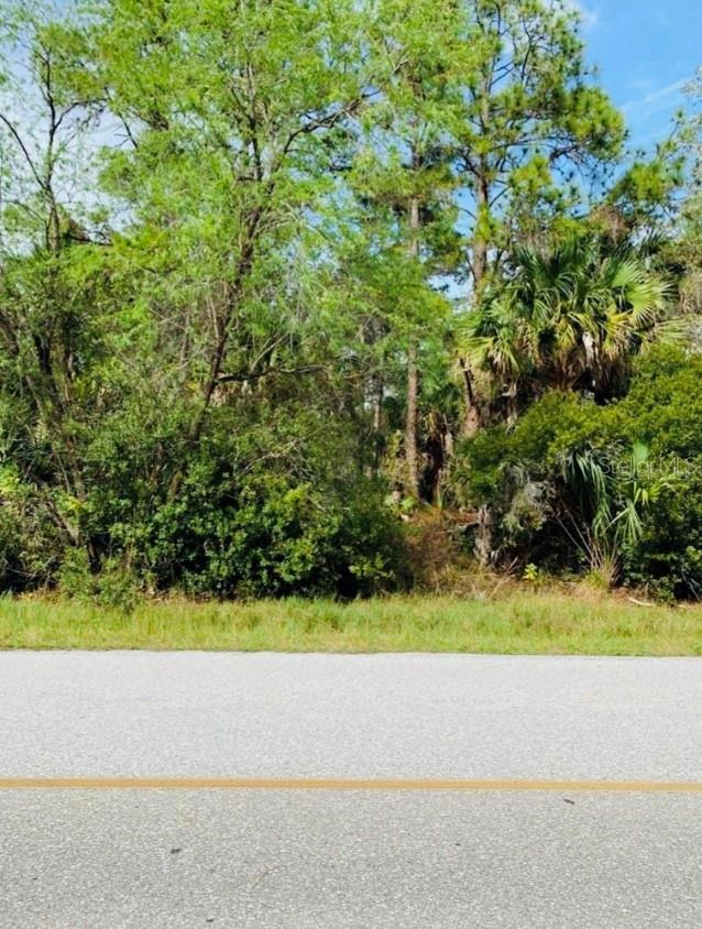 Port Charlotte, Florida 33953, 0 , 0 ,0,Land,For Sale,CHAMBERLAIN,0,D6131635