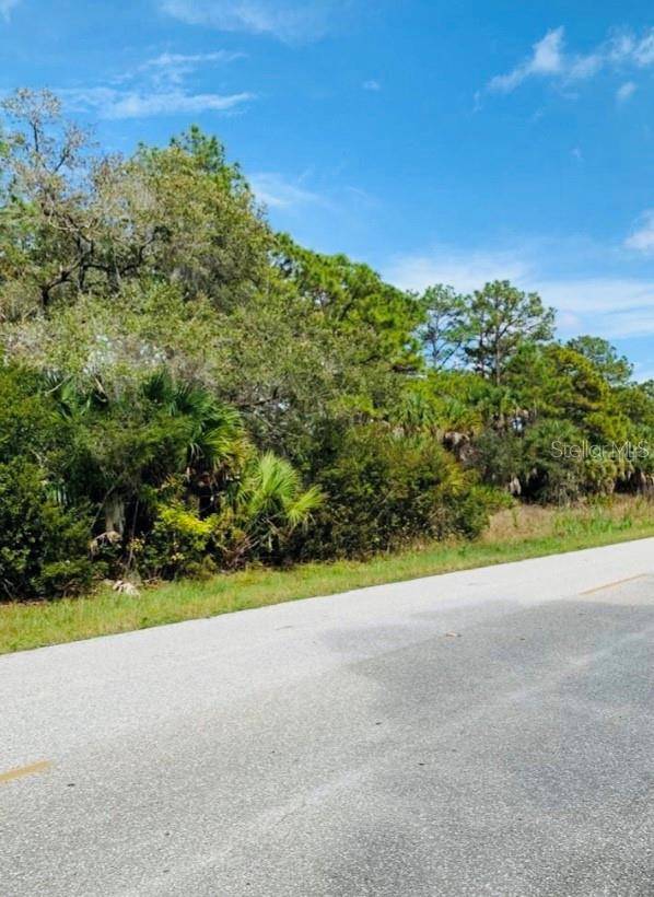 Port Charlotte, Florida 33953, 0 , 0 ,0,Land,For Sale,CHAMBERLAIN,0,D6131635