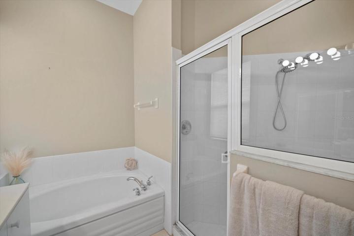 Walk - in shower & soaking tub