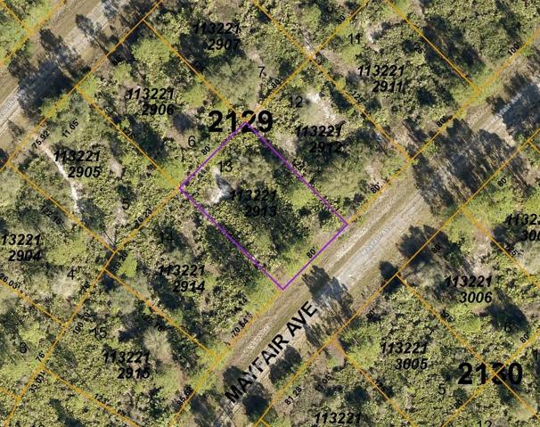 County map of lot