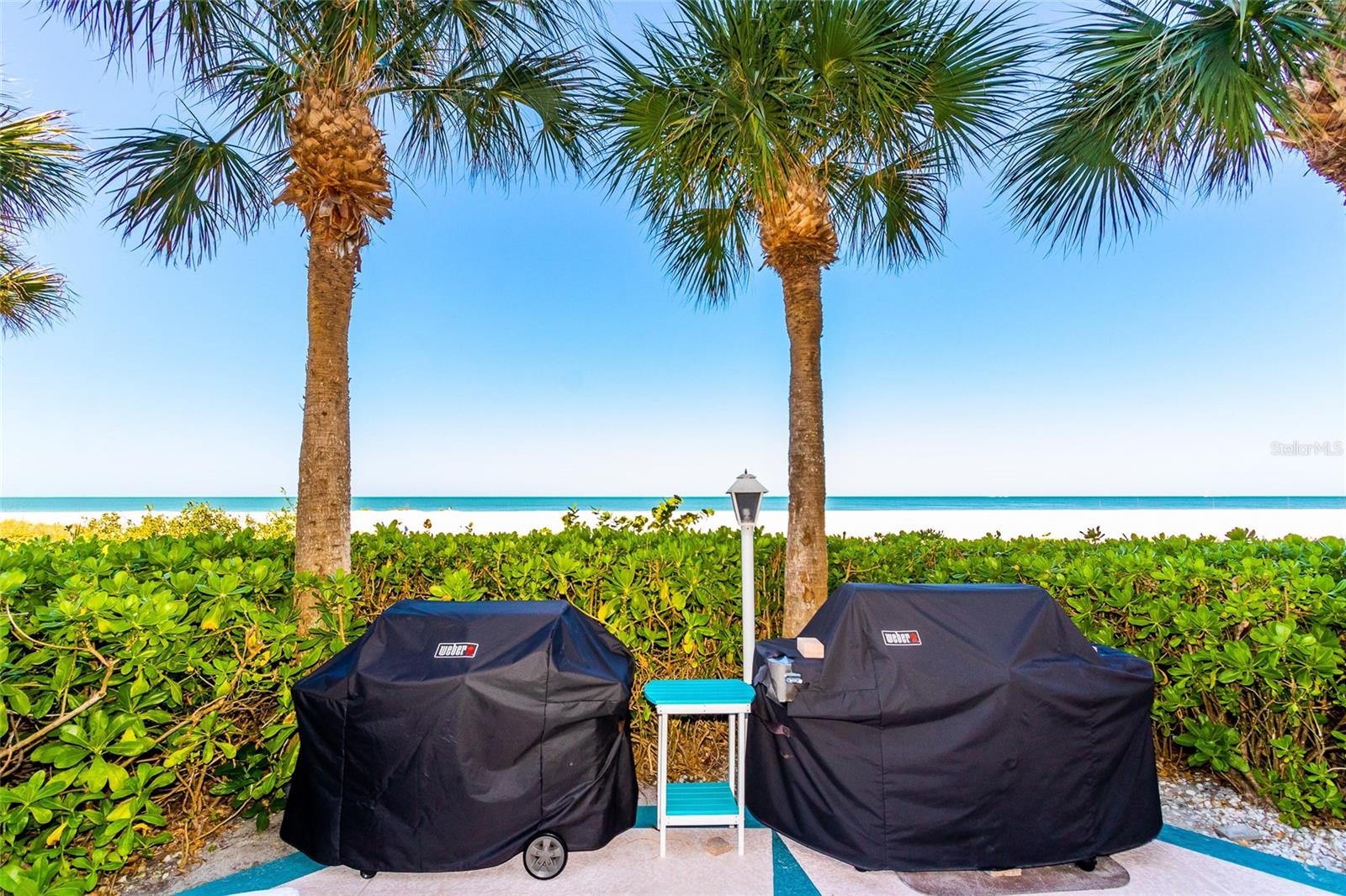 Two Weber Gills at the Beach.